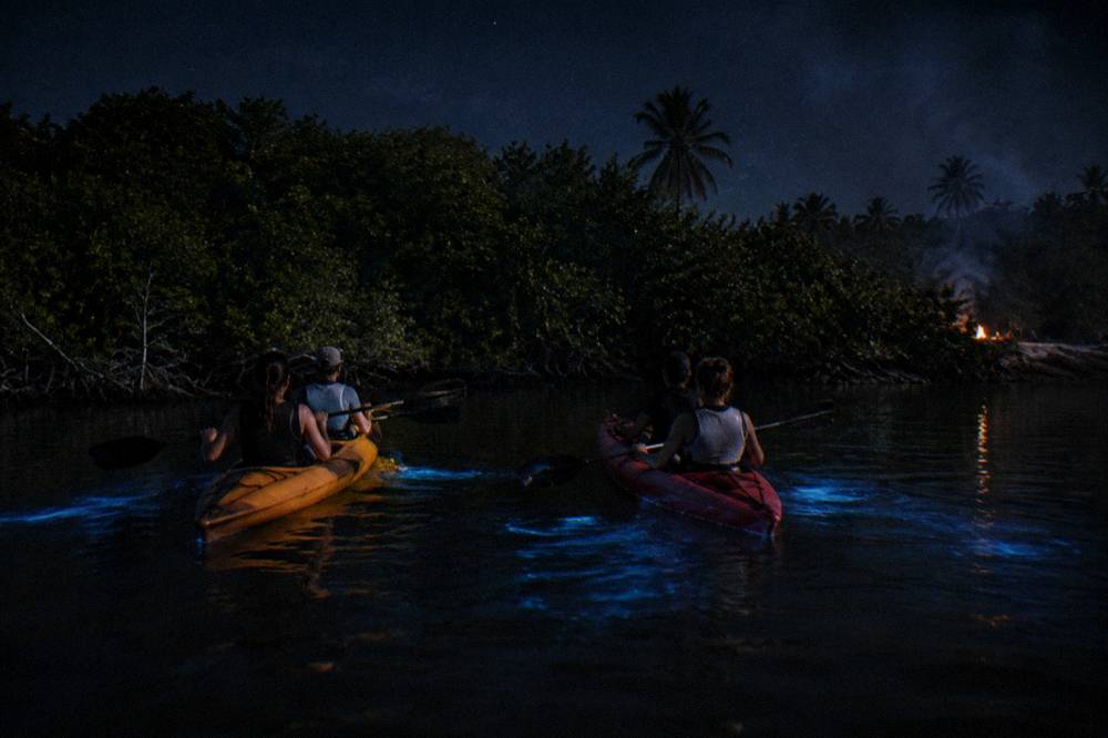 Two tandem kayaks side by side on a dark lagoon with faint blue streaks in the water