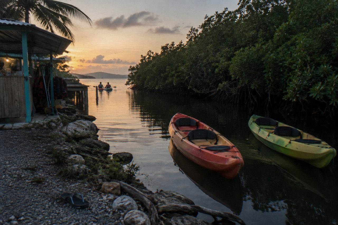 Tandem kayaks resting on still dark water beside a mangrove channel at dusk