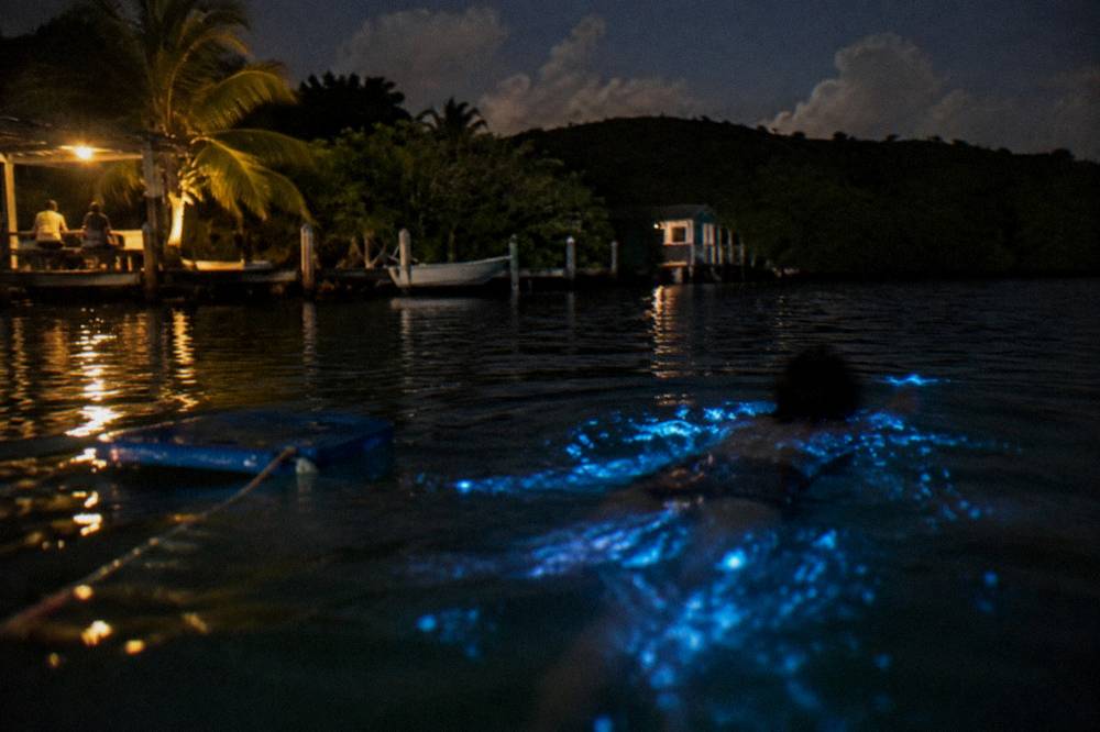 Night water surface showing pale blue sparkles around a swimmer's outline