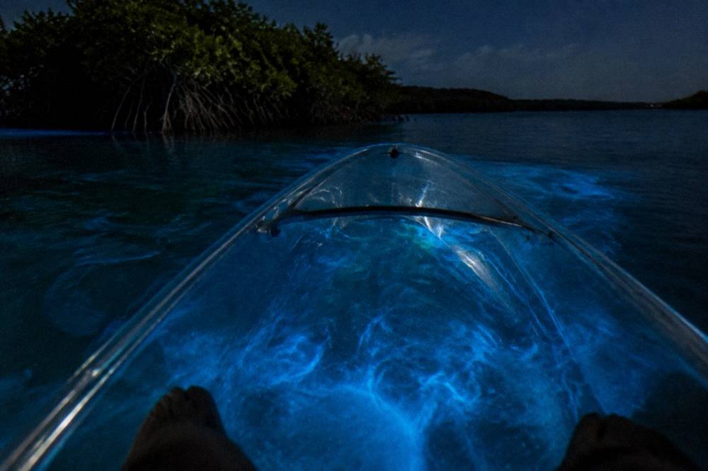 Looking down through a transparent canoe hull at glowing blue water below the surface