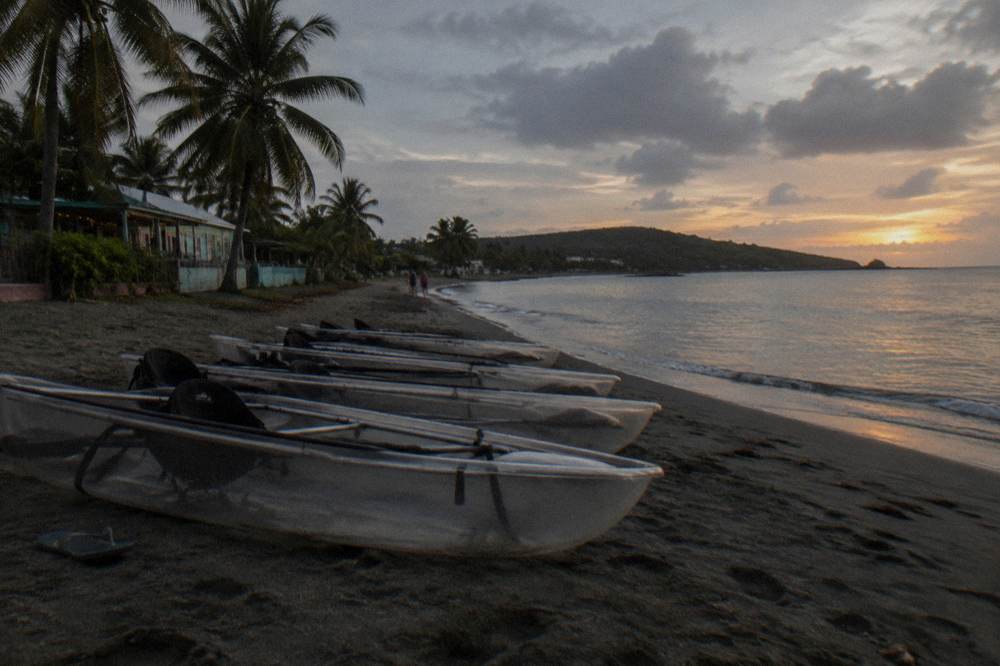 A row of transparent canoes lined up on a dark beach before a night tour
