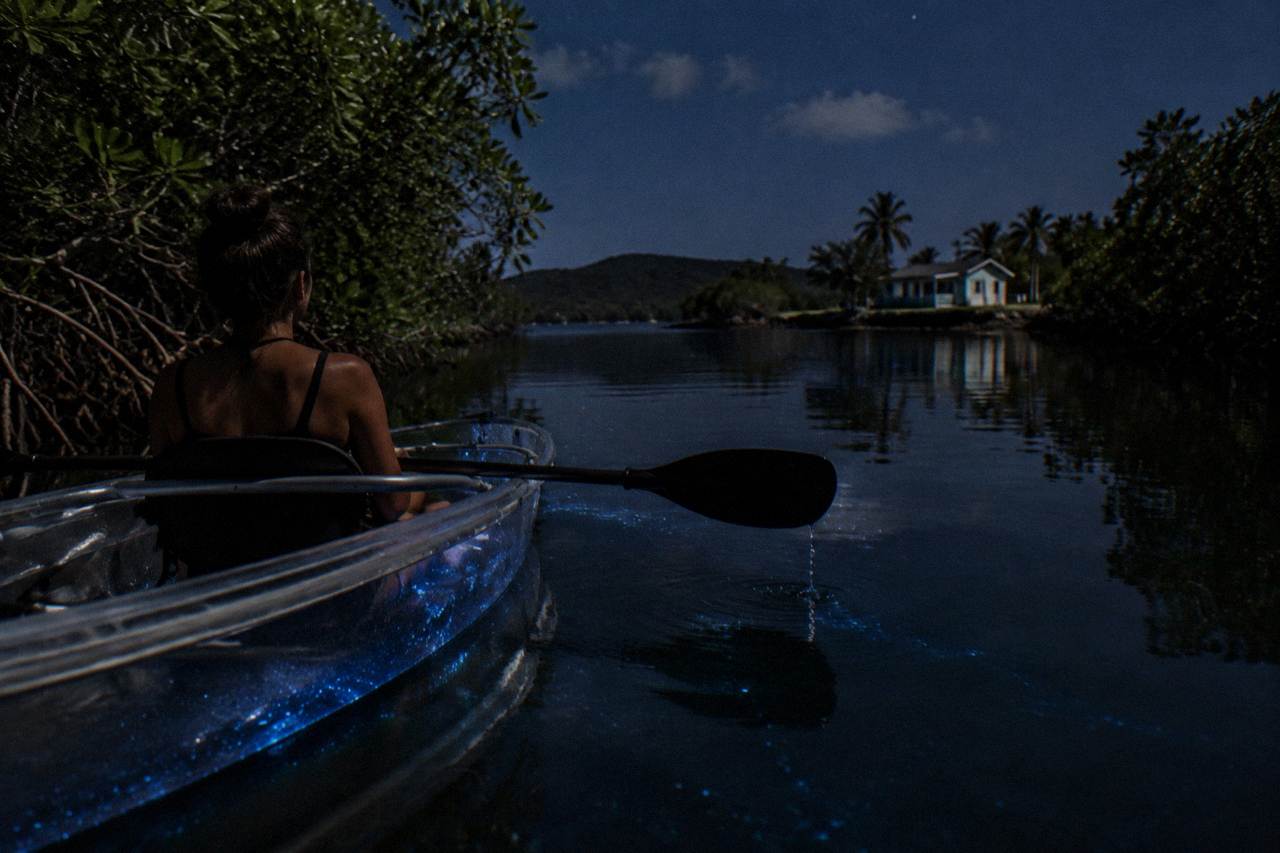 A transparent kayak floating on dark still water in a mangrove channel at night