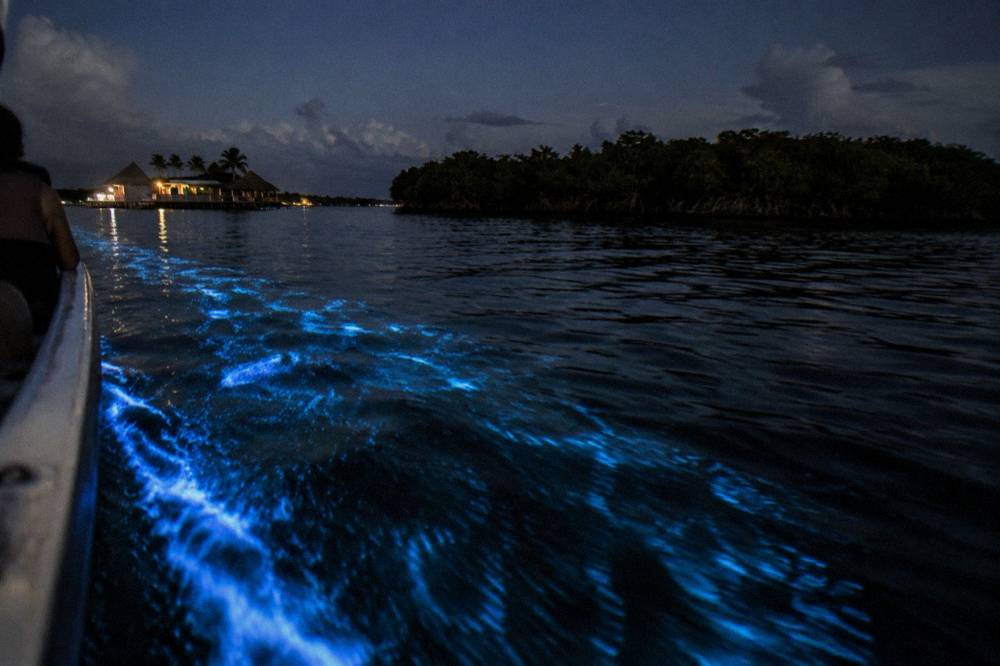 Glowing blue streaks trailing across dark water behind a slow boat hull at night