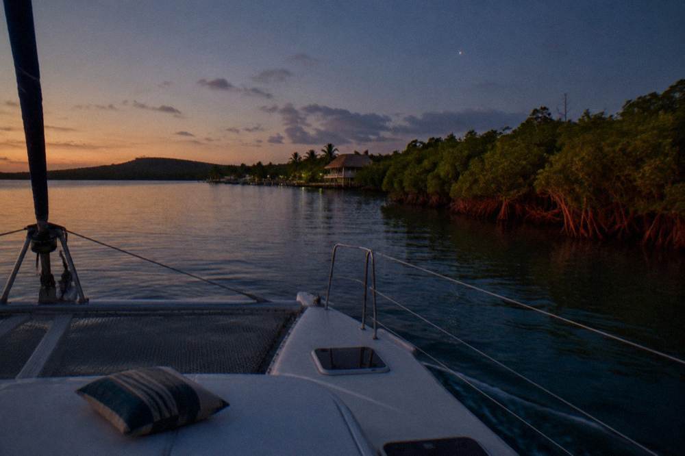 A quiet catamaran gliding across a calm bay with mangroves along the shoreline under a dark sky