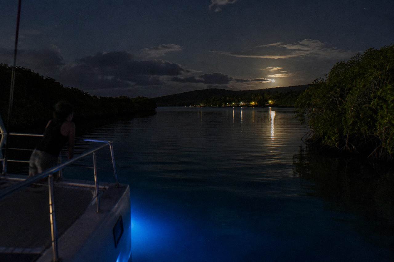 A quiet electric boat drifting on dark calm water inside a mangrove-lined bioluminescent bay at night