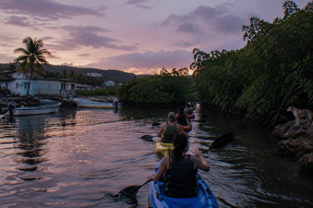 A line of paddlers in kayaks moving through a narrow mangrove channel in fading light