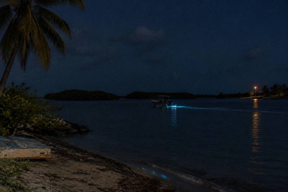 A dark bay at night with faint blue light trailing behind a slow moving boat