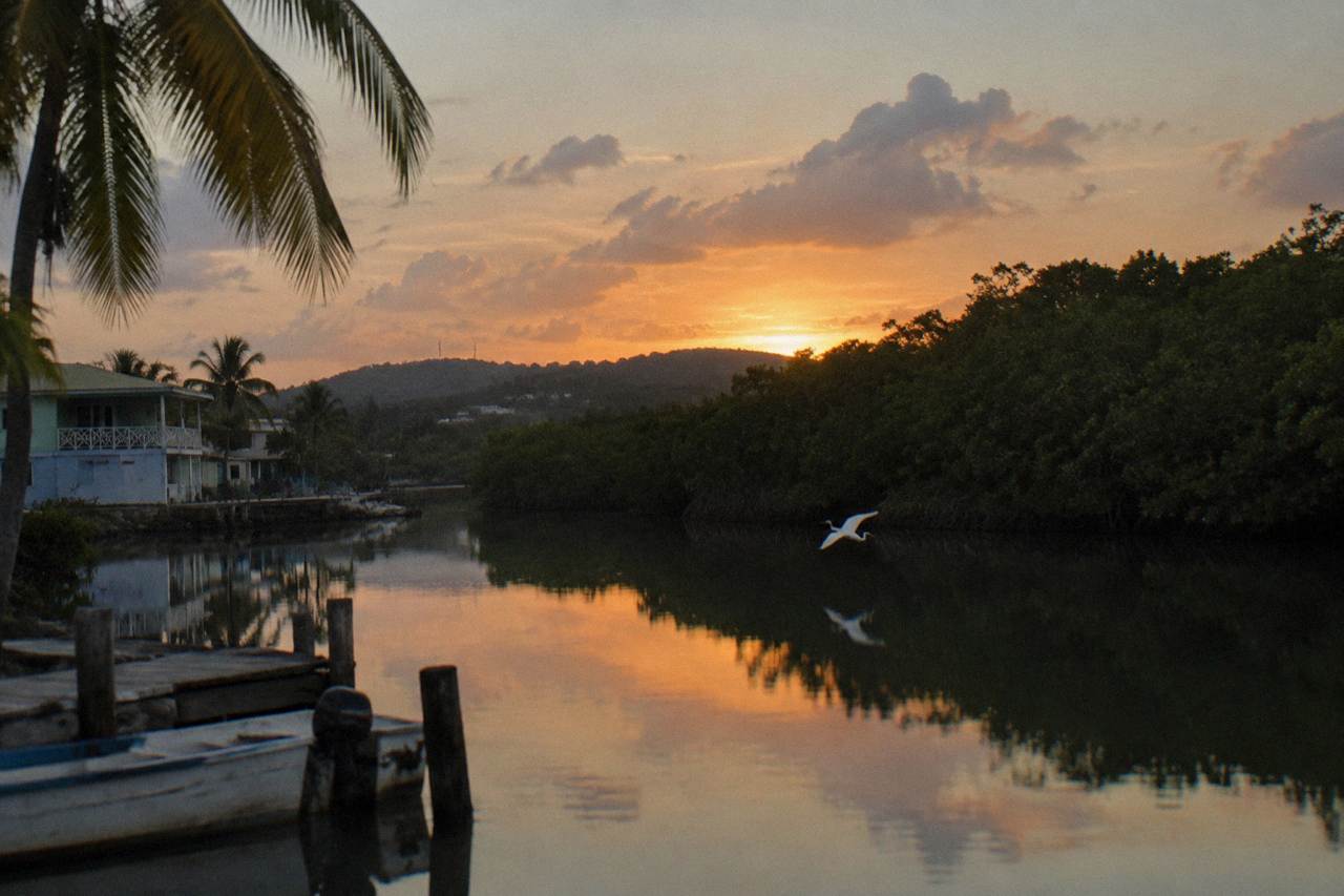 A calm mangrove lagoon at dusk with still dark water reflecting the last light above the trees