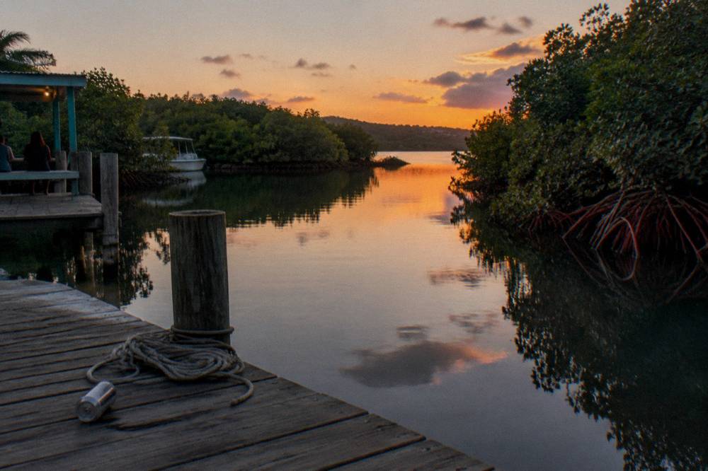 Mangrove channel at dusk with still water reflecting the last light