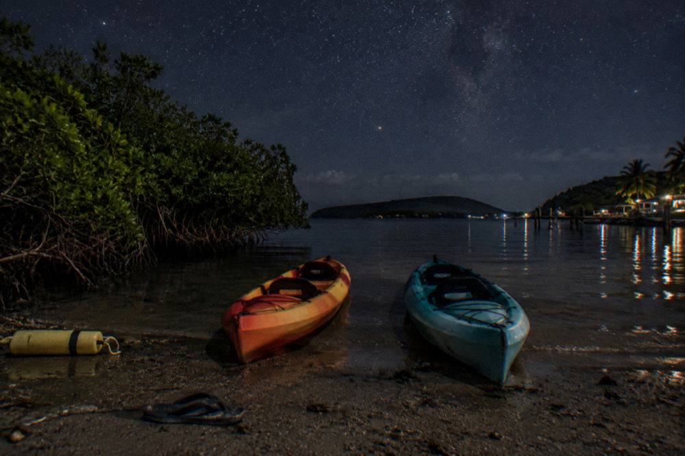 Kayaks resting on a dark shoreline under a star-filled night sky