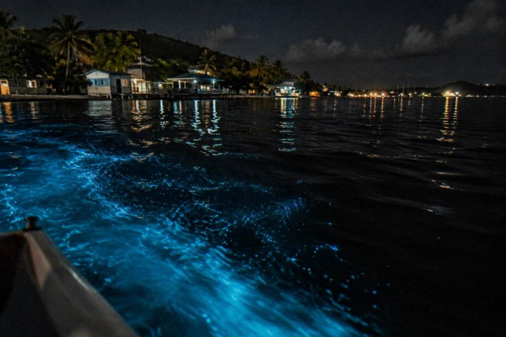 Calm dark water with faint blue light trailing behind a moving boat hull