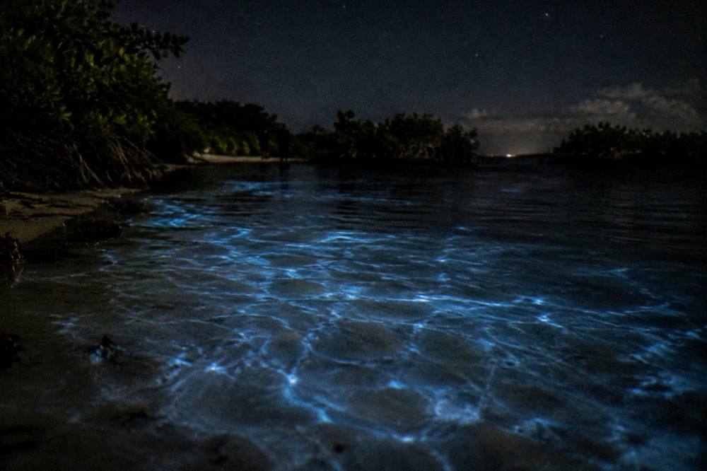 Gentle ripples of blue light spreading across black night water