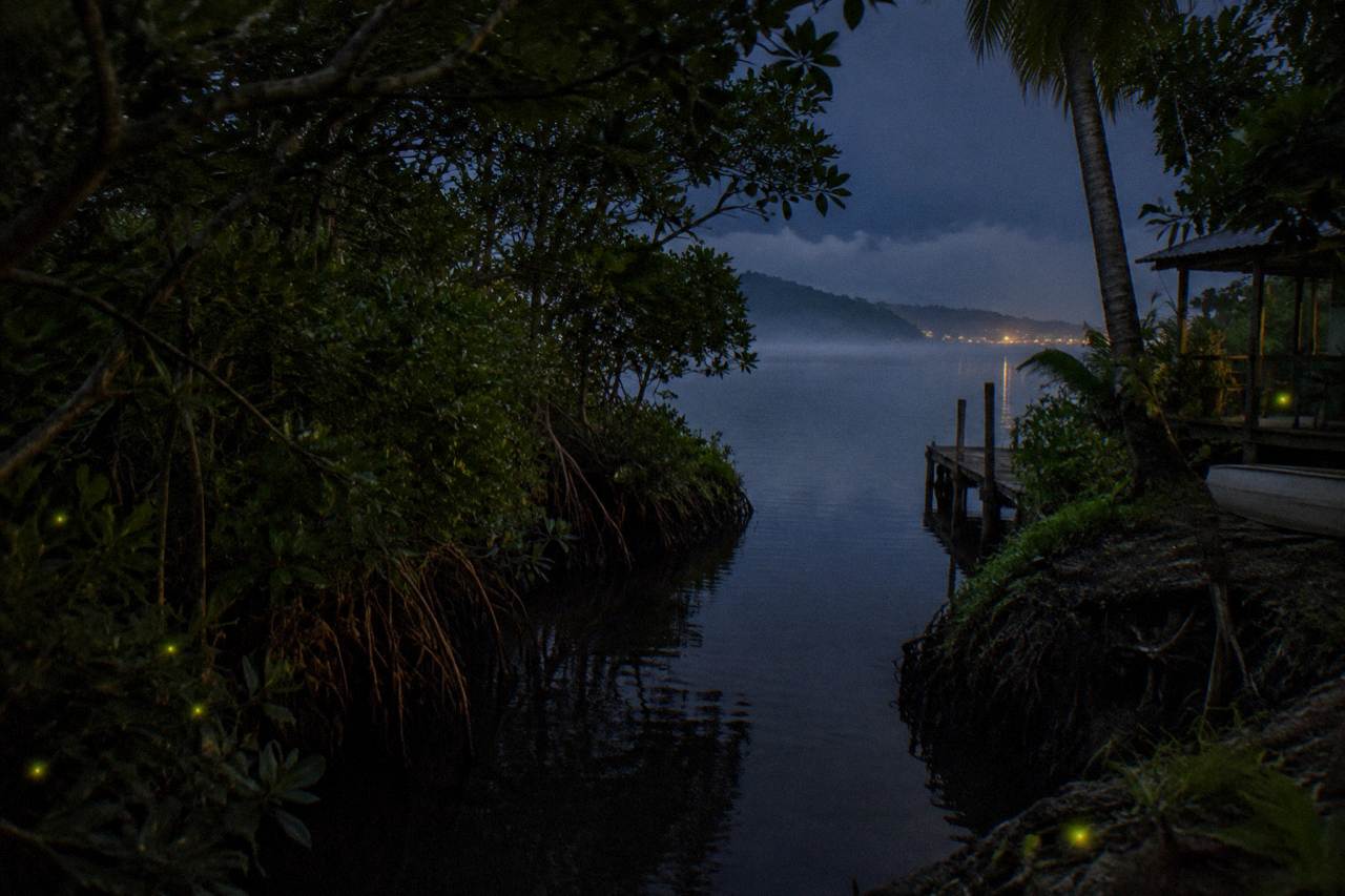 Narrow mangrove channel at night with the dark water of Laguna Grande beyond