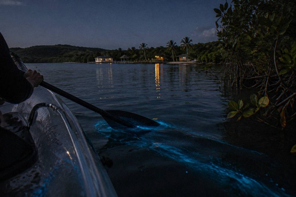 A kayak gliding across dark water with a faint blue glow trailing the paddle