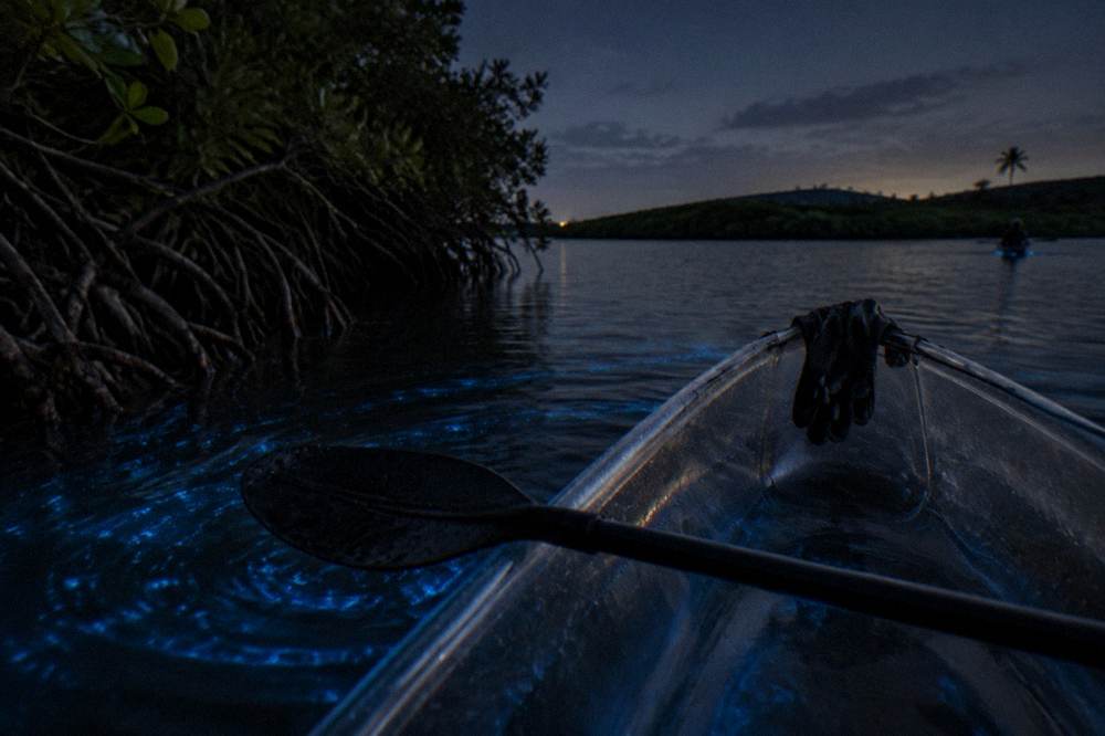 Dark bay water with ripples of blue light around a resting kayak paddle