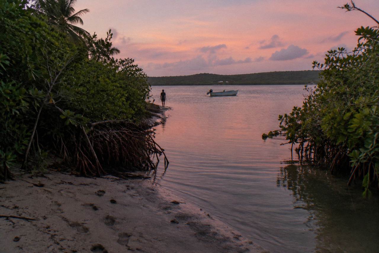 A narrow mangrove channel opening onto dark calm bay water at dusk