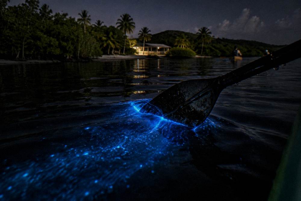 A close-up of a paddle blade dipping into dark water, with a bright blue swirl of bioluminescence radiating from the point of contact.
