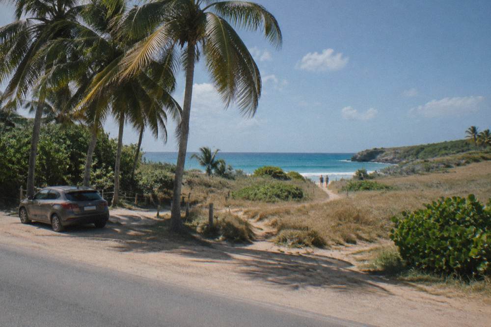 A parked car beside a coastal road with palm trees and open sky