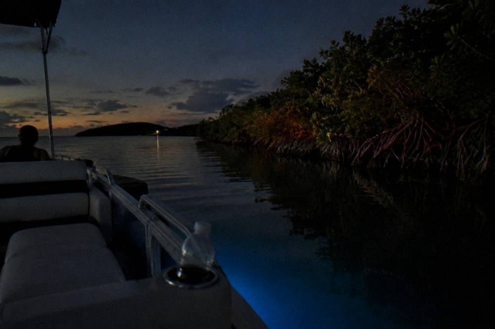 A small boat resting on dark calm water near a mangrove shoreline at night