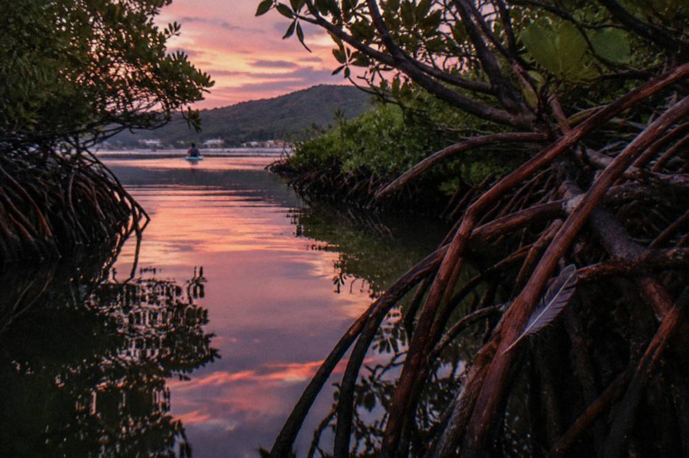 Narrow mangrove channel leading to a dark lagoon at dusk with still water