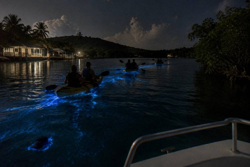 Line of tandem kayaks gliding across dark water leaving faint blue glowing trails
