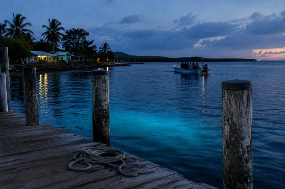 Small boat with passengers drifting on a dark bay with soft blue light in the water