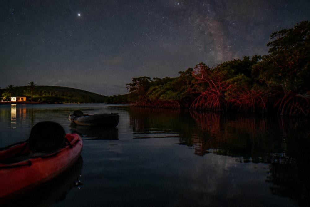 Empty kayak seats on calm dark water with mangrove silhouettes under a starry sky