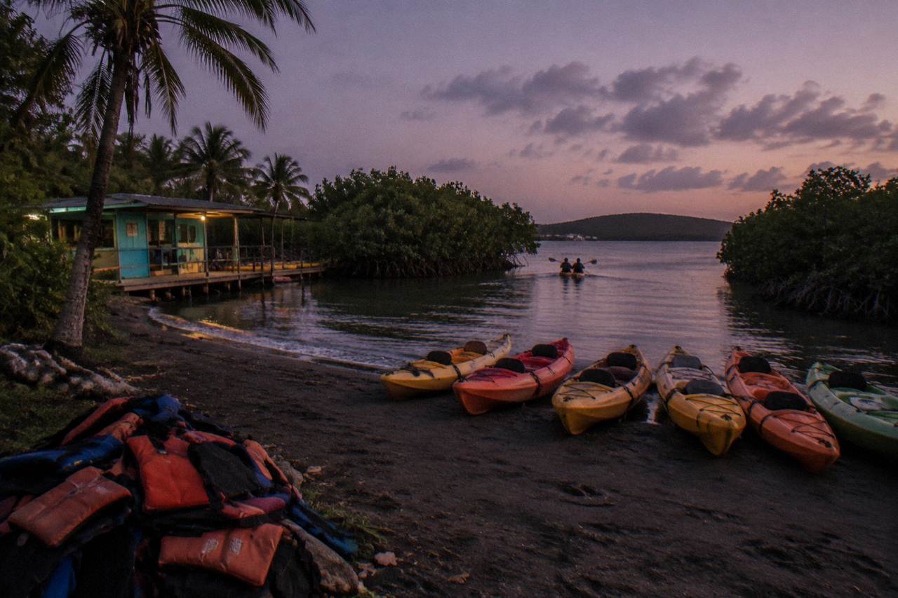 Tandem kayaks lined up on a dark shoreline beside a mangrove channel at dusk