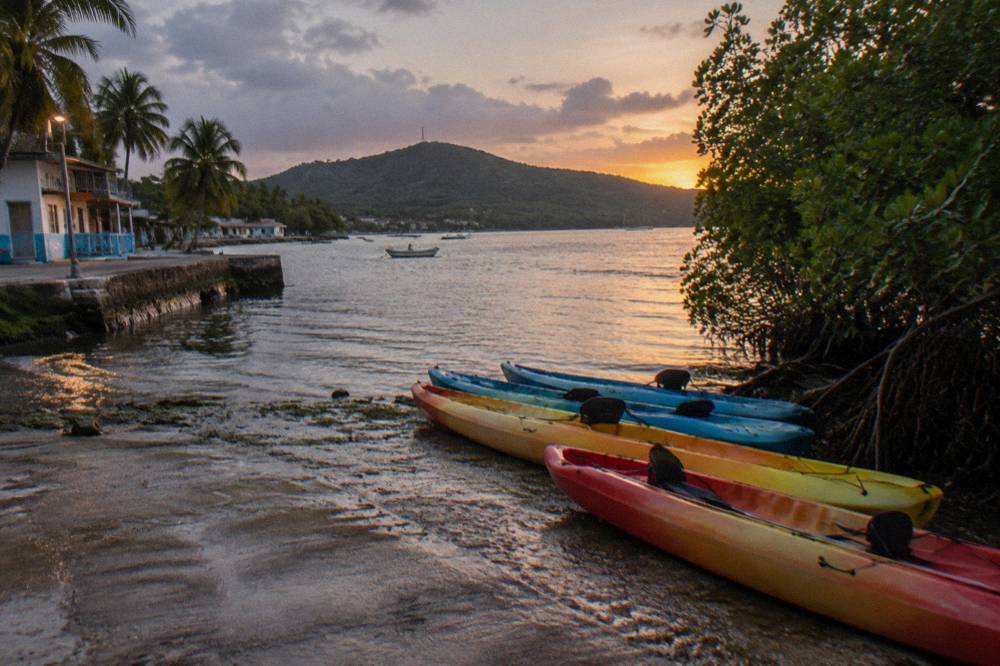 A row of tandem kayaks resting on a shore beside dark mangroves under a fading evening sky