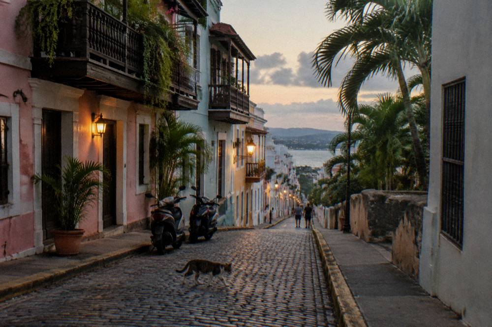 A coastal road at dusk winding past palm trees toward distant dark hills