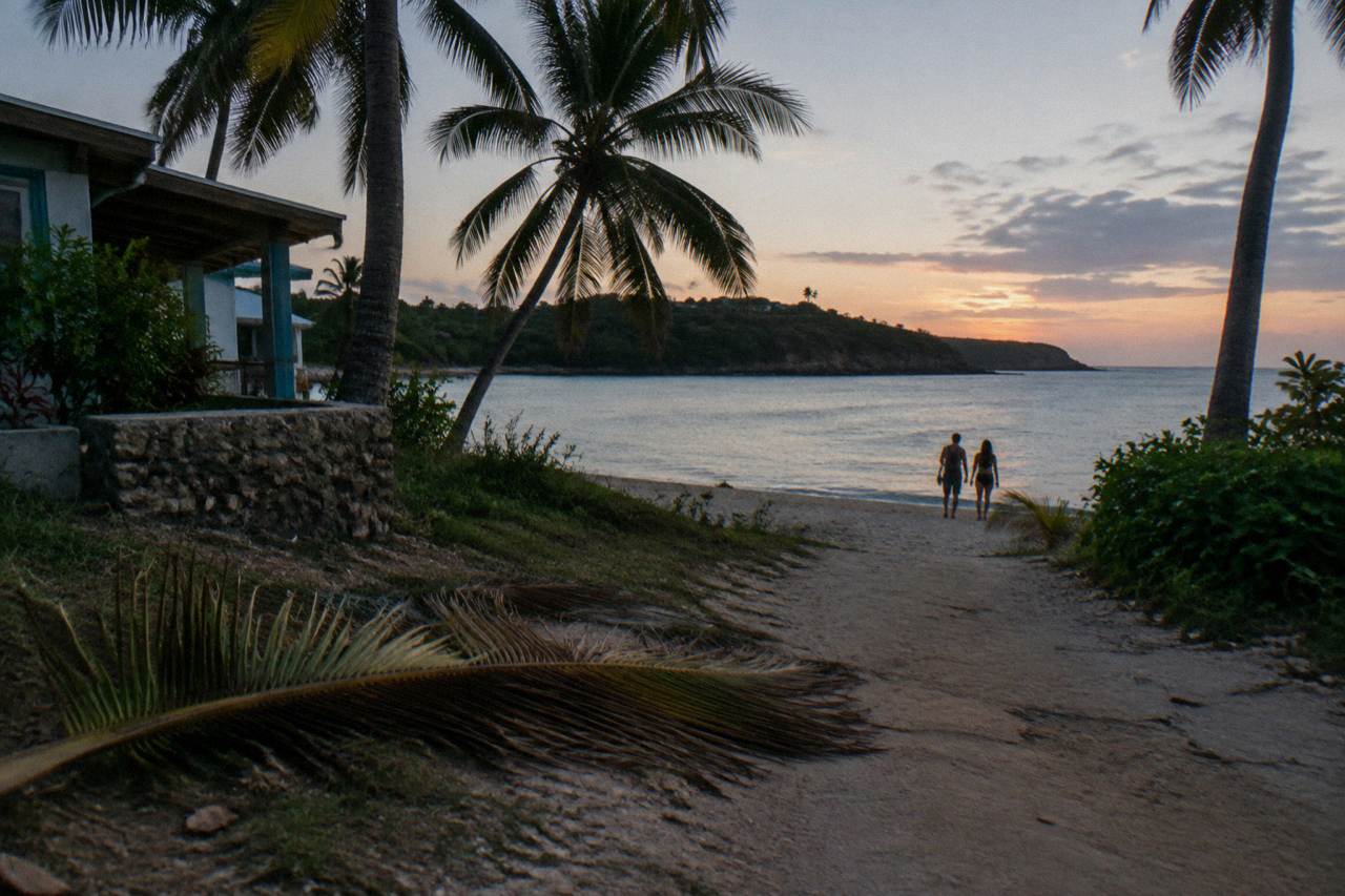 A calm tropical bay at dusk with palm trees along the shoreline and dark water beyond